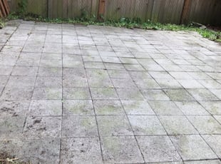 Cleanups by Kane Assata for Matt H. in Mountlake Terrace, WA