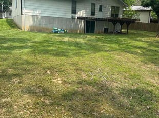 Cleanups by Isaac Mathis for Eileen D. in St. Peters, MO
