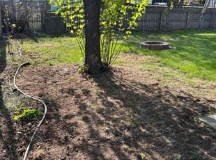 Leaf Removal by Jeffrey Curran for Fartun A. in Shakopee, MN