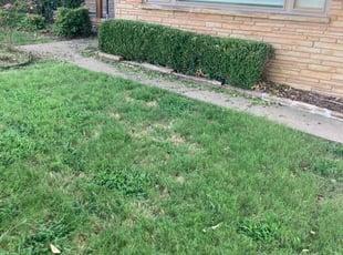 Bush Trimming by Wendell Moore for Mia H. in Tulsa, OK