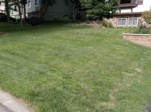 Robin B.'s Lawn Service service result