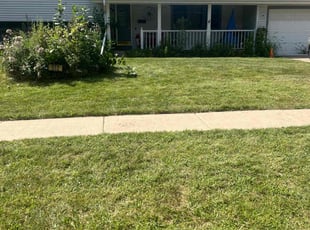 Jonathan S.'s Lawn Service service result