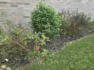 Cleanups by Hugo Melgar for Alicia M. in Sugar Land, TX