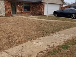 Bush Trimming by Melissa Pryor for Beth H. in Norman, OK