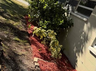 Landscaping by Delson Auguste for Andricus G. in Orange Park, FL