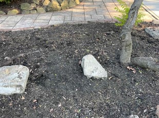 Weeding by Scott Basinger for Hadden A. in Lakewood, OH