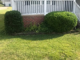 Bush Trimming by Robert Collins for Chrystal E. in Richmond, VA