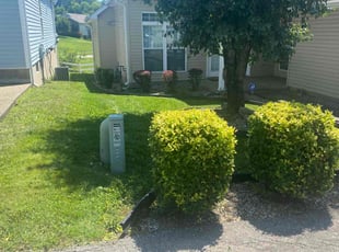 Bush Trimming by Aaron Kapfhammer for Mary B. in Louisville, KY