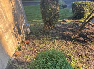 Bush Trimming by Bradley Taylor for Nicole W. in Pittsburgh, PA