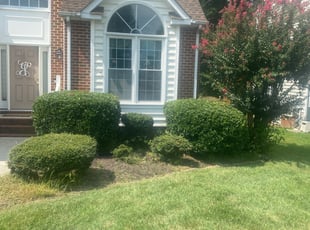 Bush Trimming by Matthew Rutledge for Mike J. in Glen Allen, VA