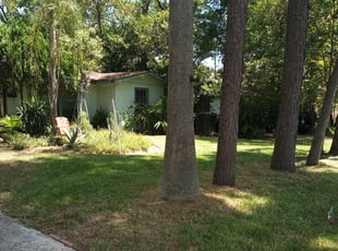 Cleanups by Frank Washington for Ricky R. in Houston, TX