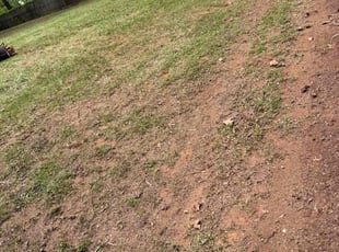 Leaf Removal by James Tanner for Jadzia R. in Douglasville, GA