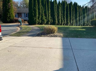 Vicki B.'s Lawn Mowing service result
