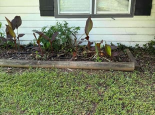 Weeding by Ethan Wright for Justin J. in Acworth, GA