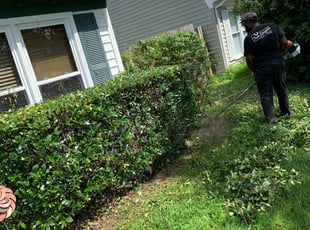 Bush Trimming by Taylor Dodson for John B. in Virginia Beach, VA