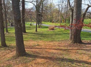 Cleanups by Jimmy Craighead for jared h. in Glenwood, MD