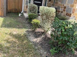 Bush Trimming by Christopher Aguilar for Randall G. in Austin, TX