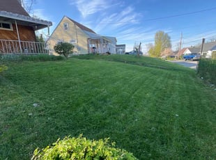 jennifer b.'s Lawn Mowing service result