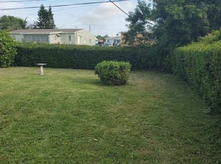 Bush Trimming by Lester Brown for Constance M. in Miami, FL