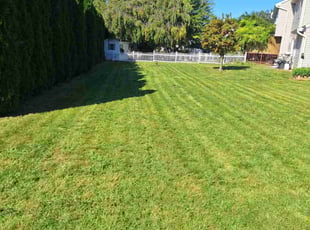 Rick C.'s Lawn Service service result