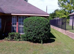 Joseph S.'s Bush Trimming service result