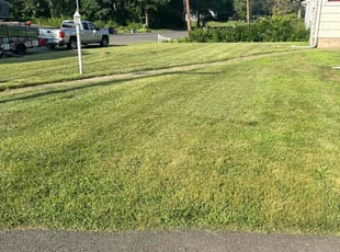 David S.'s Lawn Mowing Service service result