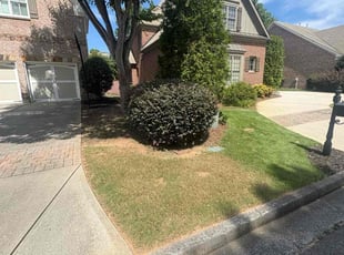 Judy B.'s Bush Trimming service result