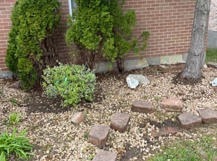 Cleanups by Ted Ostavitz for Angela R. in Cincinnati, OH