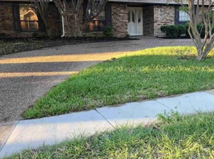 Leaf Removal by Ricardo Soto for Jeff D. in Plano, TX