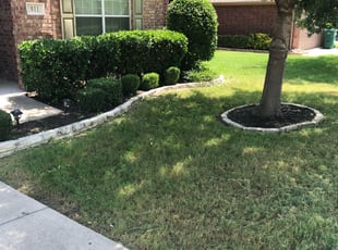 Bush Trimming by Kevin Capps for MIchael K. in Irving, TX