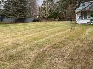 Leaf Removal by Matson Courrier for Daniel T. in Eden Prairie, MN