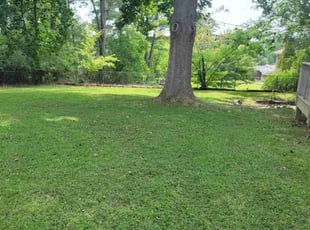Cleanups by Douglas McClelland for Emily A. in Birmingham, AL