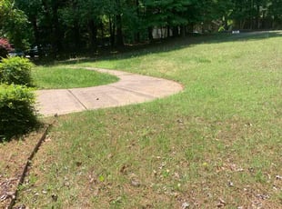 Bush Trimming by Scott Heslin for Annette C. in Wake Forest, NC