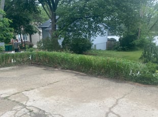 Bush Trimming by Phillip Kukla for Lisa S. in Lake Zurich, IL