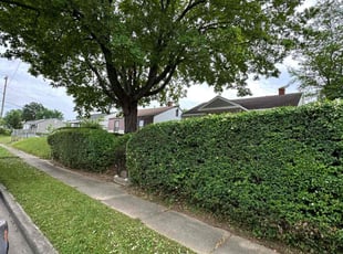 Bush Trimming by Derrick Wilson Jr for Jessica G. in Richmond, VA