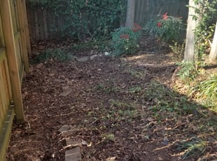Leaf Removal by John Williams for Chi L. in Charlotte, NC