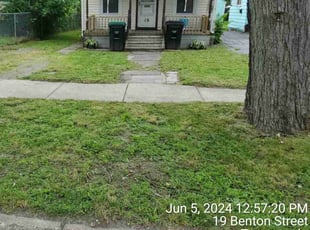 Vincent C.'s Lawn Service service result
