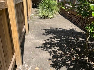 Weeding by Nicole Ross for jhana p. in Houston, TX