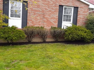 Mulching by Stan Hawkins for Richard G. in Catonsville, MD