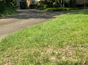 Bush Trimming by Travis Frederickson for Melissa H. in Cantonment, FL