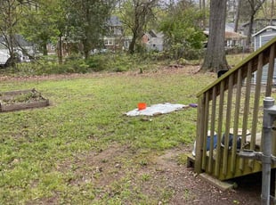 Leaf Removal by Vanquas Scotton for Lauren T. in Durham, NC