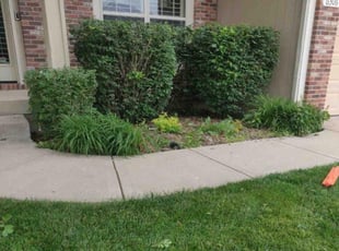 Bush Trimming by Kip Tyler for Aaron L. in Kansas City, MO