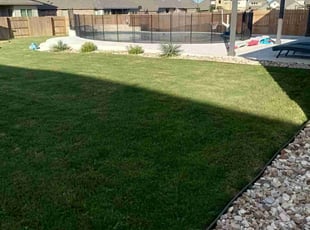 Renata S.'s Lawn Service service result