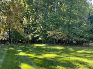 David J.'s Lawn Service service result