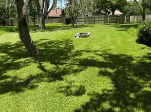 Samantha M.'s Lawn Mowing Service service result