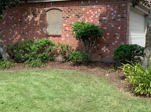 Weeding by Randy Lissard for Matthew B. in Baton Rouge, LA