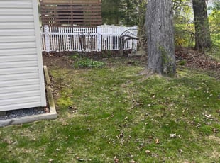 Leaf Removal by Carol Hughes for Katie H. in Shrewsbury, MA