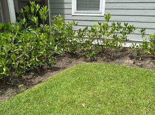 Cleanups by Claude Tillery for Ashley w. in Charleston, SC