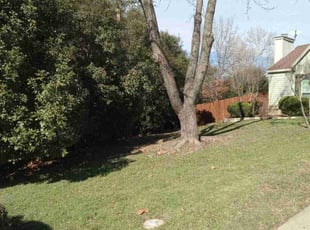 John P.'s Lawn Care service result