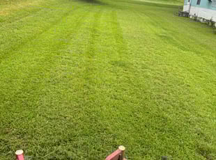 Dan M.'s Lawn Service service result
